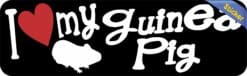 10in x 3in I Love My Guinea Pig Bumper Sticker Vinyl Truck Window Decal