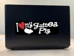 10in x 3in I Love My Guinea Pig Bumper Sticker Vinyl Truck Window Decal