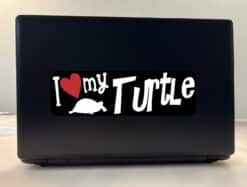 10in x 3in I Love My Turtle Bumper Sticker Vinyl Truck Window Pet Decal