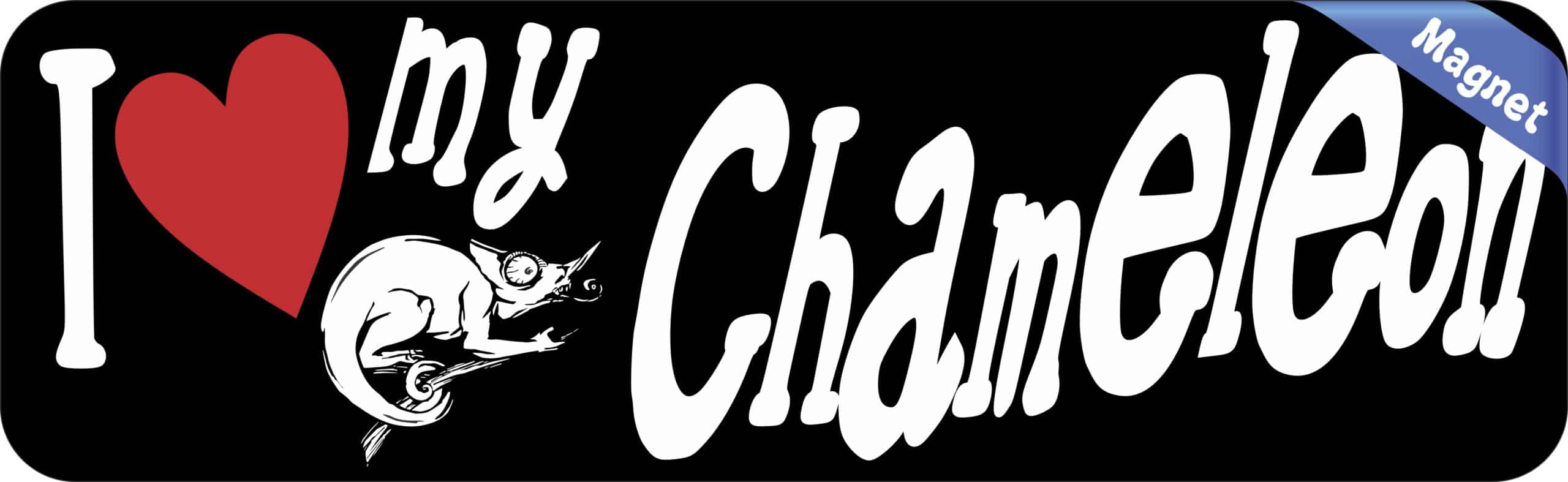 10in x 3in I Love My Chameleon Magnet Car Door Magnetic Truck Magnets Sign