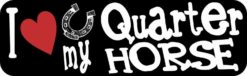 quarter horse