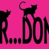 dont care