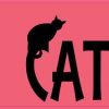 crazy cat lady