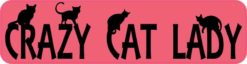 crazy cat lady