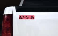 8in x 2in Crazy Cat Lady Magnet Magnetic Truck Cats Magnets Animal