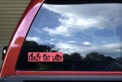 8in x 2in Crazy Cat Lady Bumper Sticker Vinyl Car Window Decal Stickers