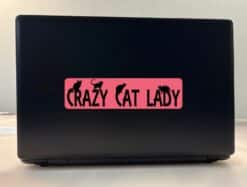 8in x 2in Crazy Cat Lady Bumper Sticker Vinyl Car Window Decal Stickers
