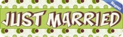 10in x 3in Polka Dot Just Married Magnet  Car Window