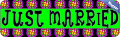 10in x 3in Just Married Magnet Car Window Truck Sign