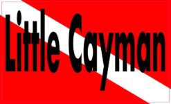 dive flag