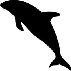 dolphin bumper sticker