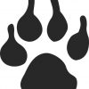 paw print bumper sticker