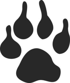 paw print bumper sticker