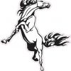 Horse Bumper Sticker