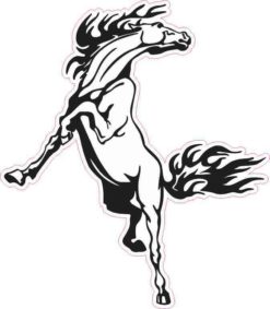 Horse Bumper Sticker
