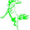 green rearing horse bumper sticker