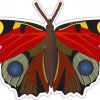 butterfly bumper sticker