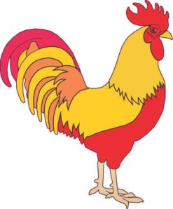 rooster bumper sticker