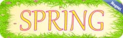 10in x 3in Spring Magnet Door Magnetic Truck Magnets Season