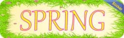 10in x 3in Spring Bumper Sticker Vinyl Truck Window Season Decal Stickers