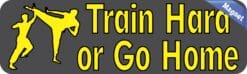 10in x 3in Train Hard or Go Home Magnet Magnetic Martial Arts Car Magnets