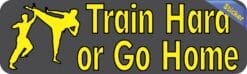 10in x 3in Train Hard or Go Home Bumper Sticker Vinyl Car Truck Stickers