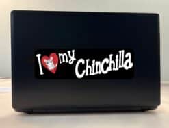 10in x 3in I Love My Chinchilla Bumper Sticker Vinyl Truck Window Decal