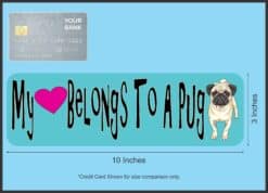 10in x 3in My Heart Belongs To A Pug Bumper Sticker Vinyl Vehicle Stickers