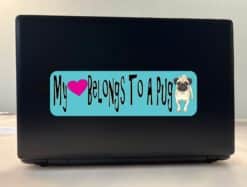 10in x 3in My Heart Belongs To A Pug Bumper Sticker Vinyl Vehicle Stickers