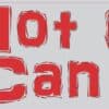 8in x 2in Hot Cars Can Kill Bumper Sticker Vehicle Car Truck Dog Stickers