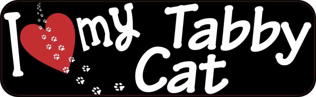 Black And White American Flag Bumper Sticker – Vinyl Car Window Decal BEC-800