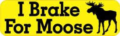 moose