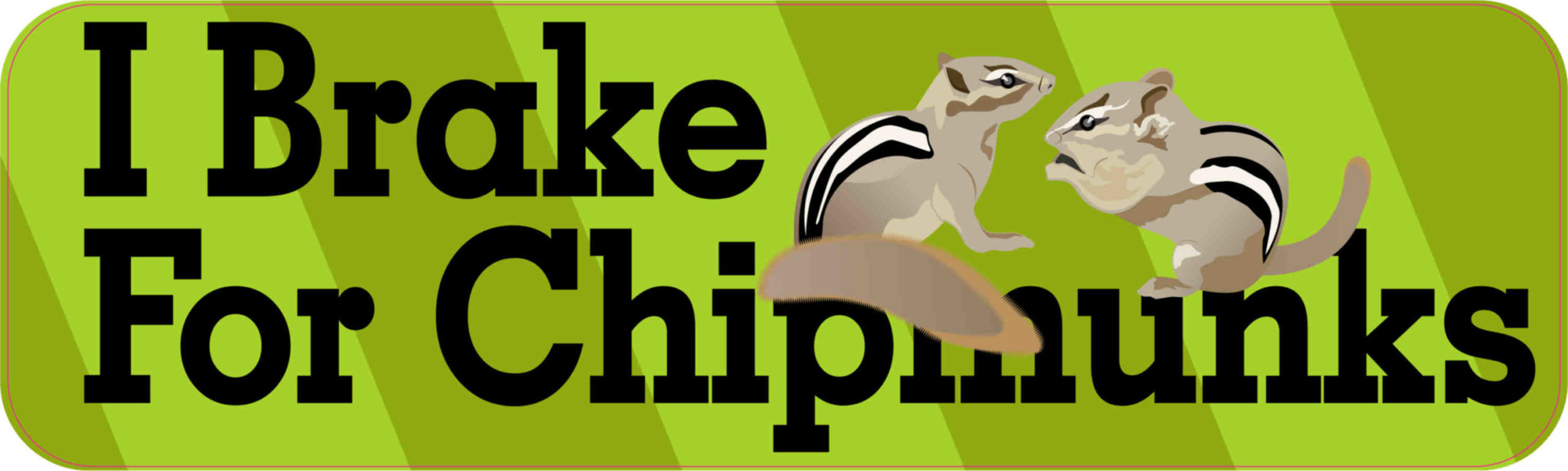 chipmunks
