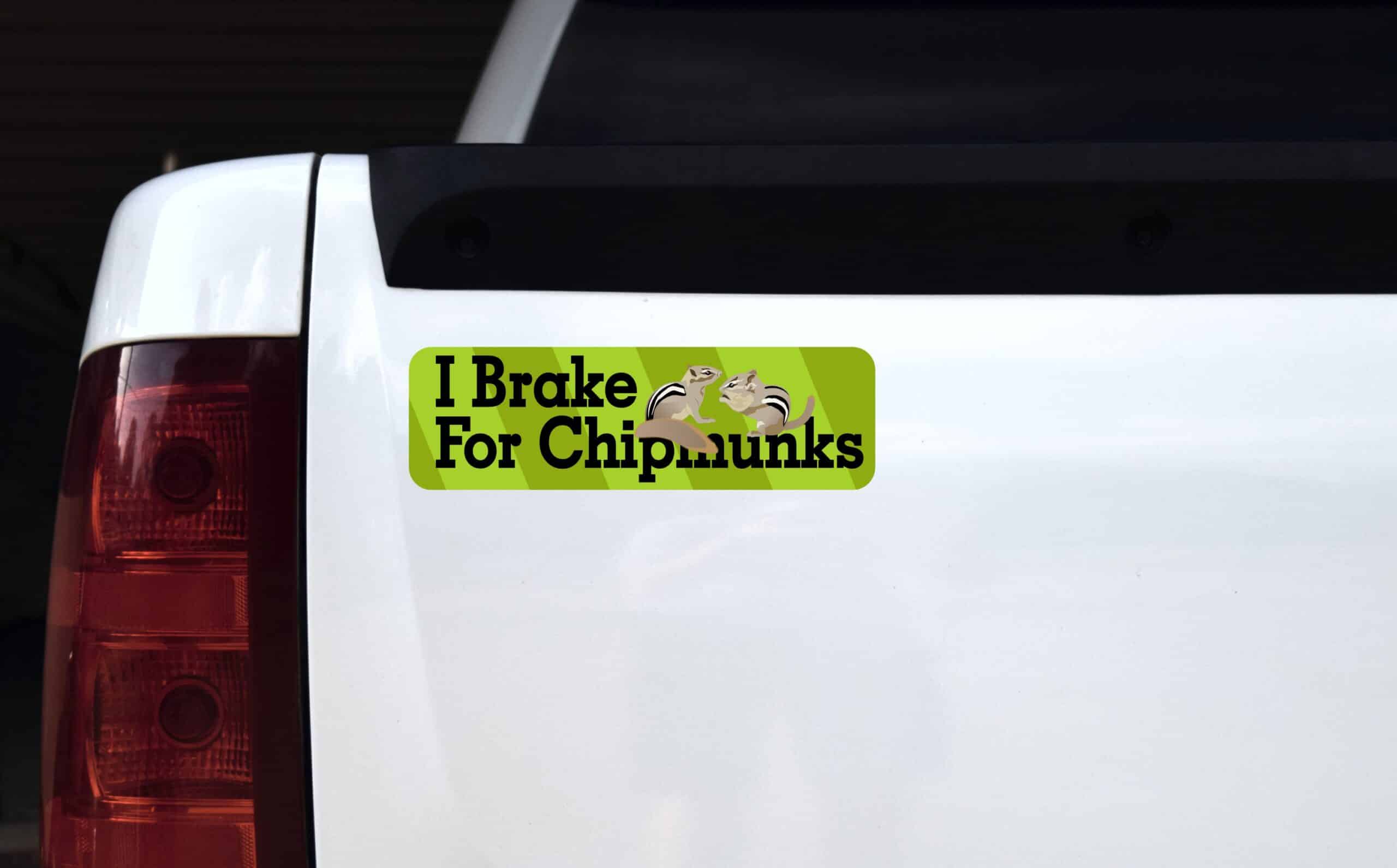 10in x 3in Green I Brake For Chipmunks Bumper Sticker Vinyl Animal Stickers