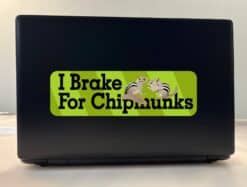 10in x 3in Green I Brake For Chipmunks Bumper Sticker Vinyl Animal Stickers
