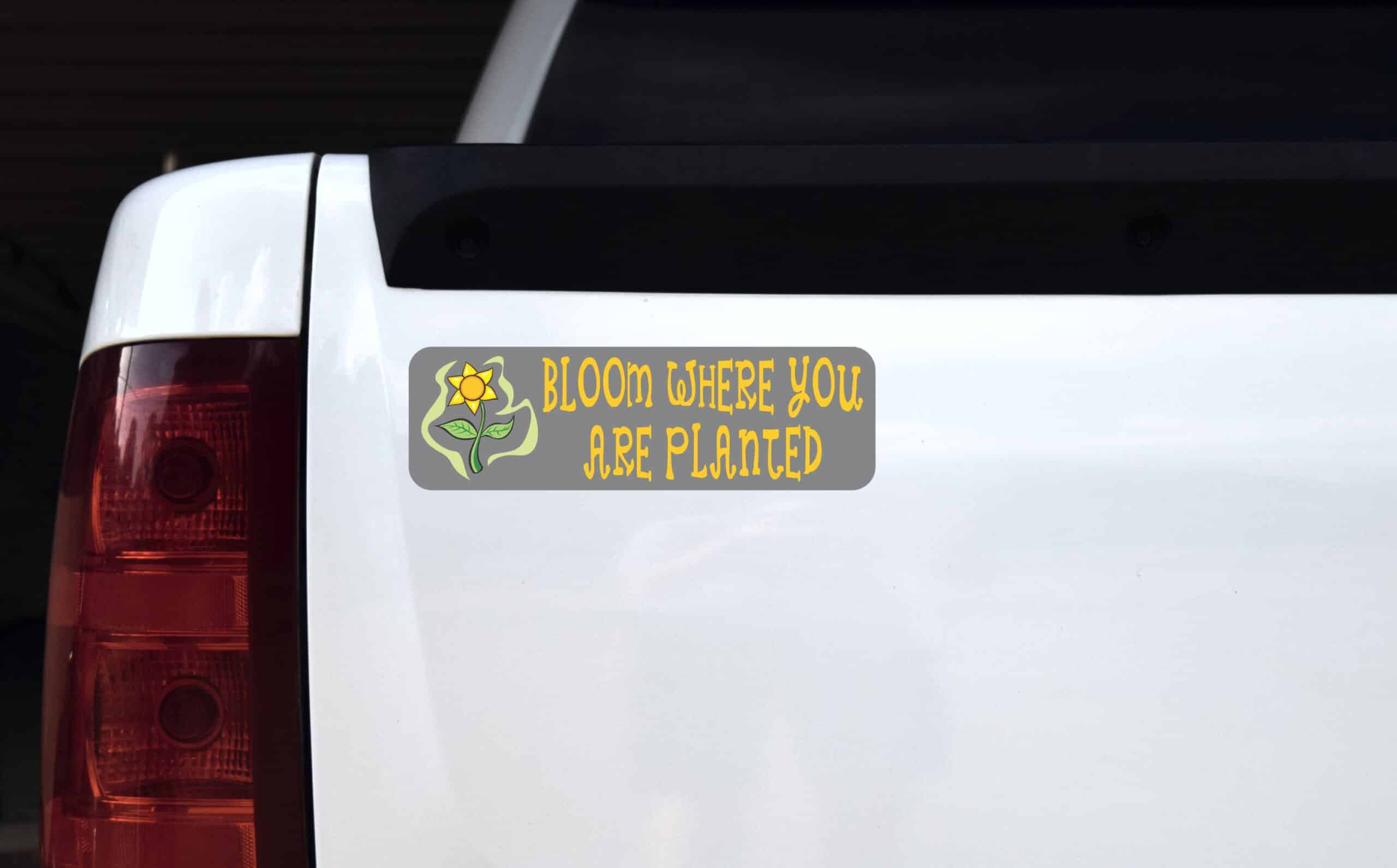 10in x 3in Bloom Where You Are Planted Magnet Magnetic Vehicle Magnets