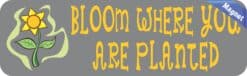 10in x 3in Bloom Where You Are Planted Magnet Magnetic Vehicle Magnets