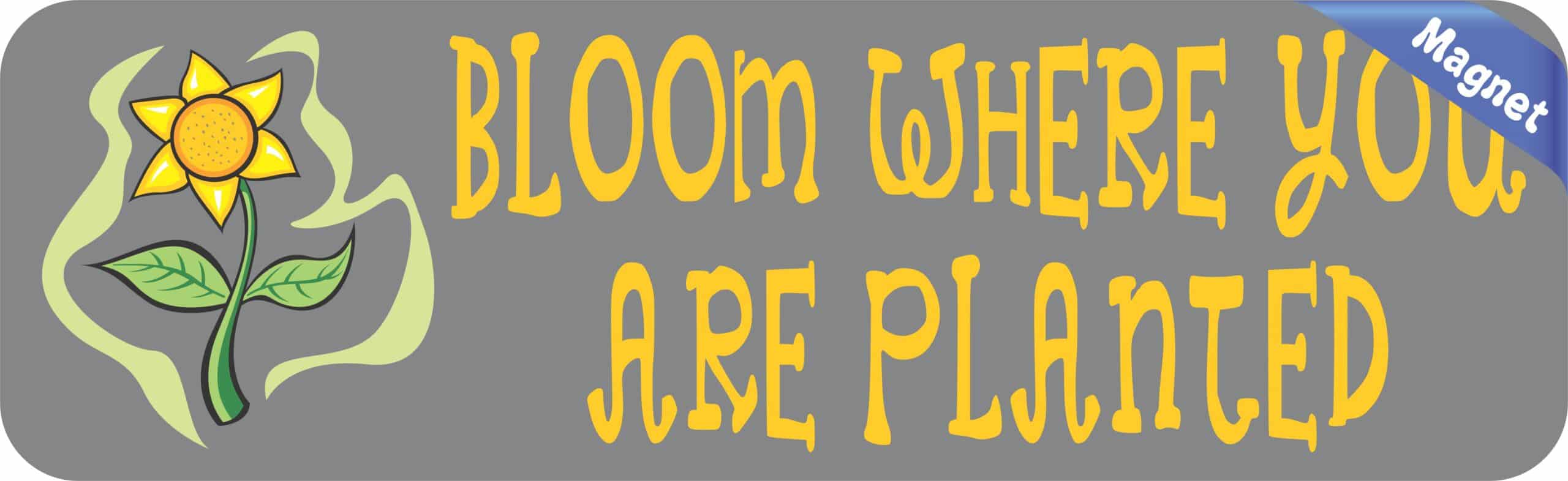 10in x 3in Bloom Where You Are Planted Magnet Magnetic Vehicle Magnets