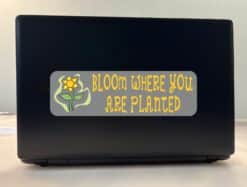 10in x 3in Bloom Where You Are Planted Bumper Sticker Vinyl Wind