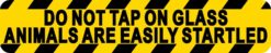 do not tap on glass