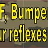 Bumper Humper Magnet