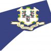 Die Cut Connecticut sticker