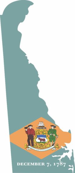 Die Cut Delaware sticker