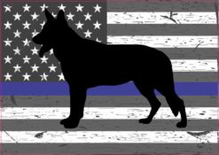 Blue Lives Matter