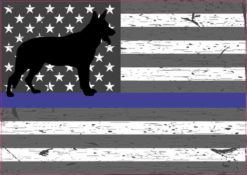 Blue Lives Matter