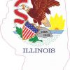 Die Cut Illinois sticker