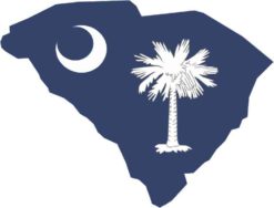 Die Cut South Carolina sticker