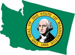 Die Cut Washington sticker