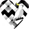 Cockatoo Heart decal