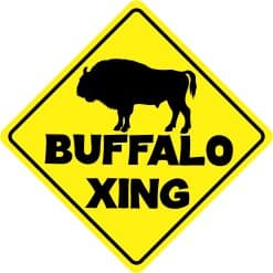 6in x 6in Buffalo Crossing Sticker